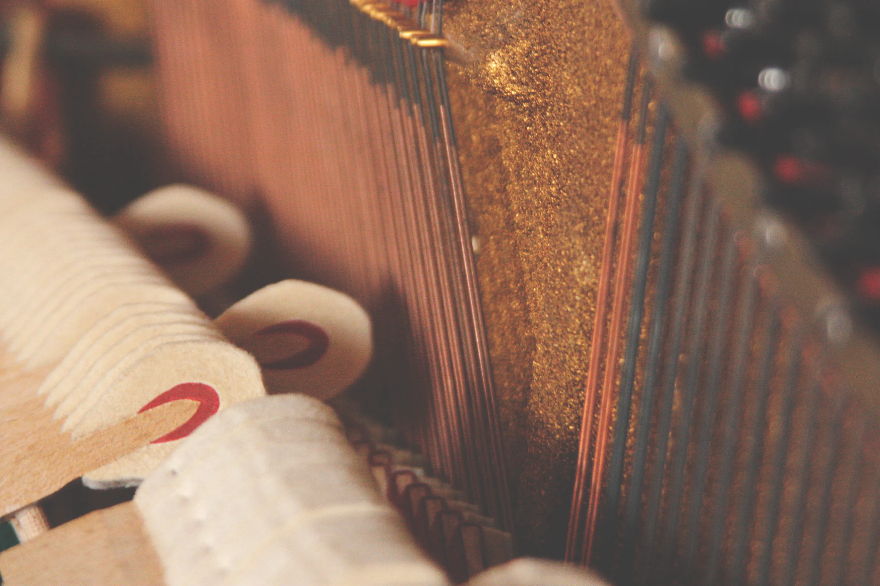 Martillos y fieltros del mecanismo de un piano (foto de muestra)