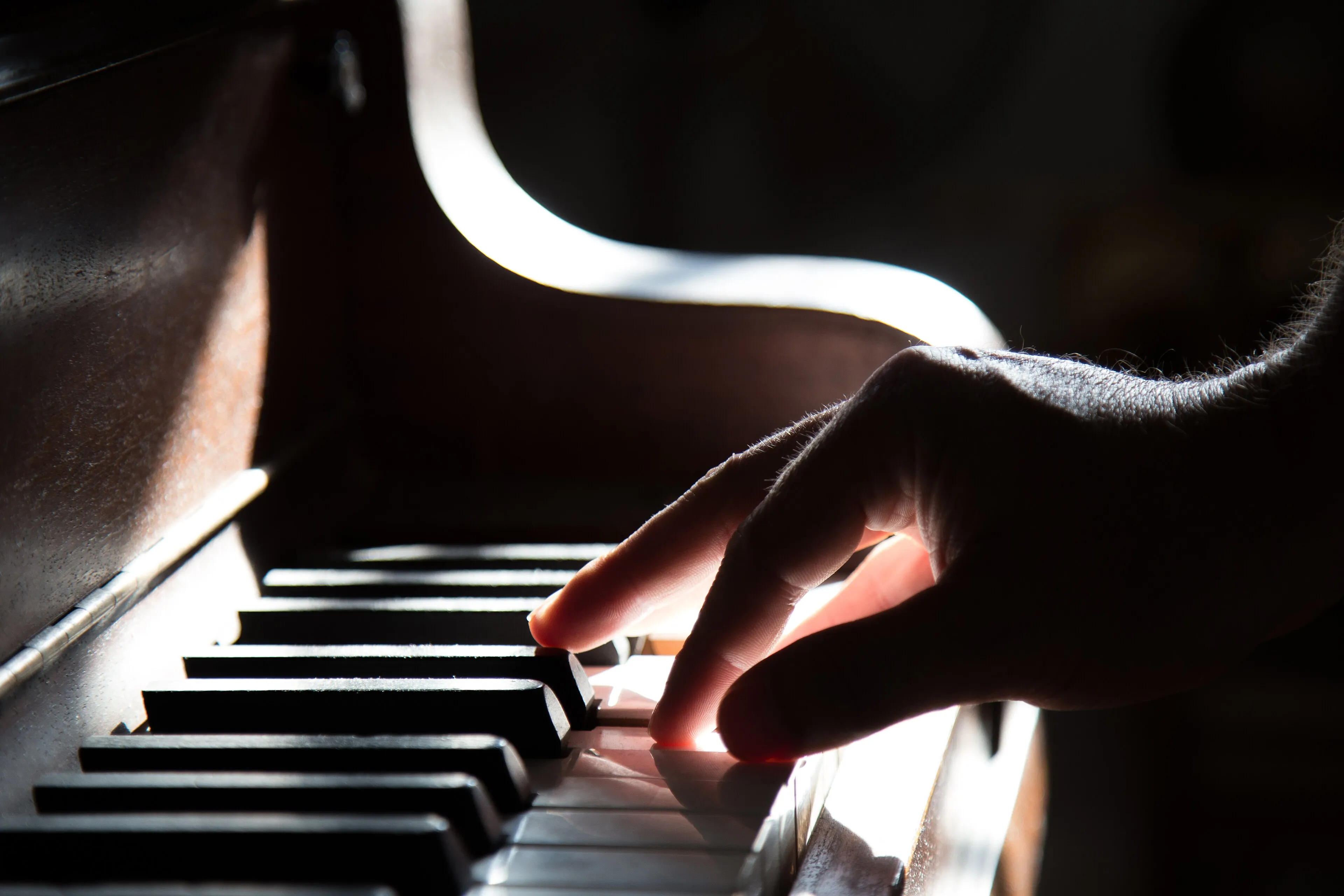 Dedos sobre las teclas del piano (foto de muestra)